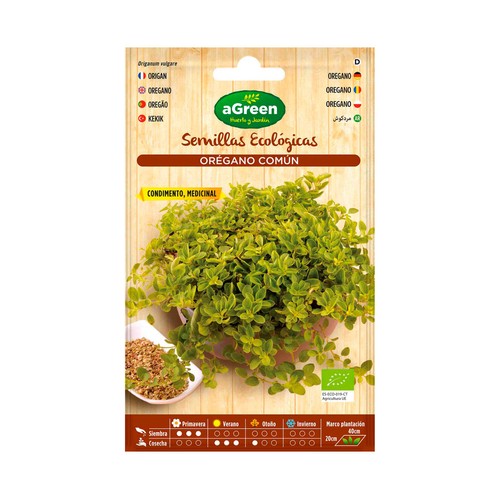 Semillas ecológicas para plantar orégano HA-HUERTO Y JARDÍN 0.1 gramos.