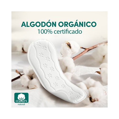 CAREFREE Cotton natural Protegeslip (salvaslips) normal, de algodón orgánico, hipoalergénicos y transpirables 30 uds.