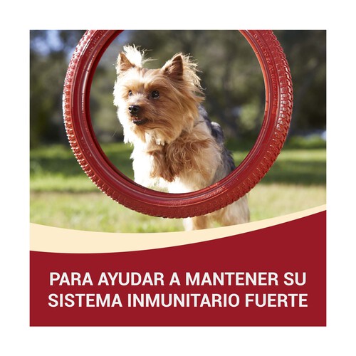 PURINA ONE Comida para perros adultos de raza pequeña a base de buey y arroz PURINA ONE MINI 1,5 kg.