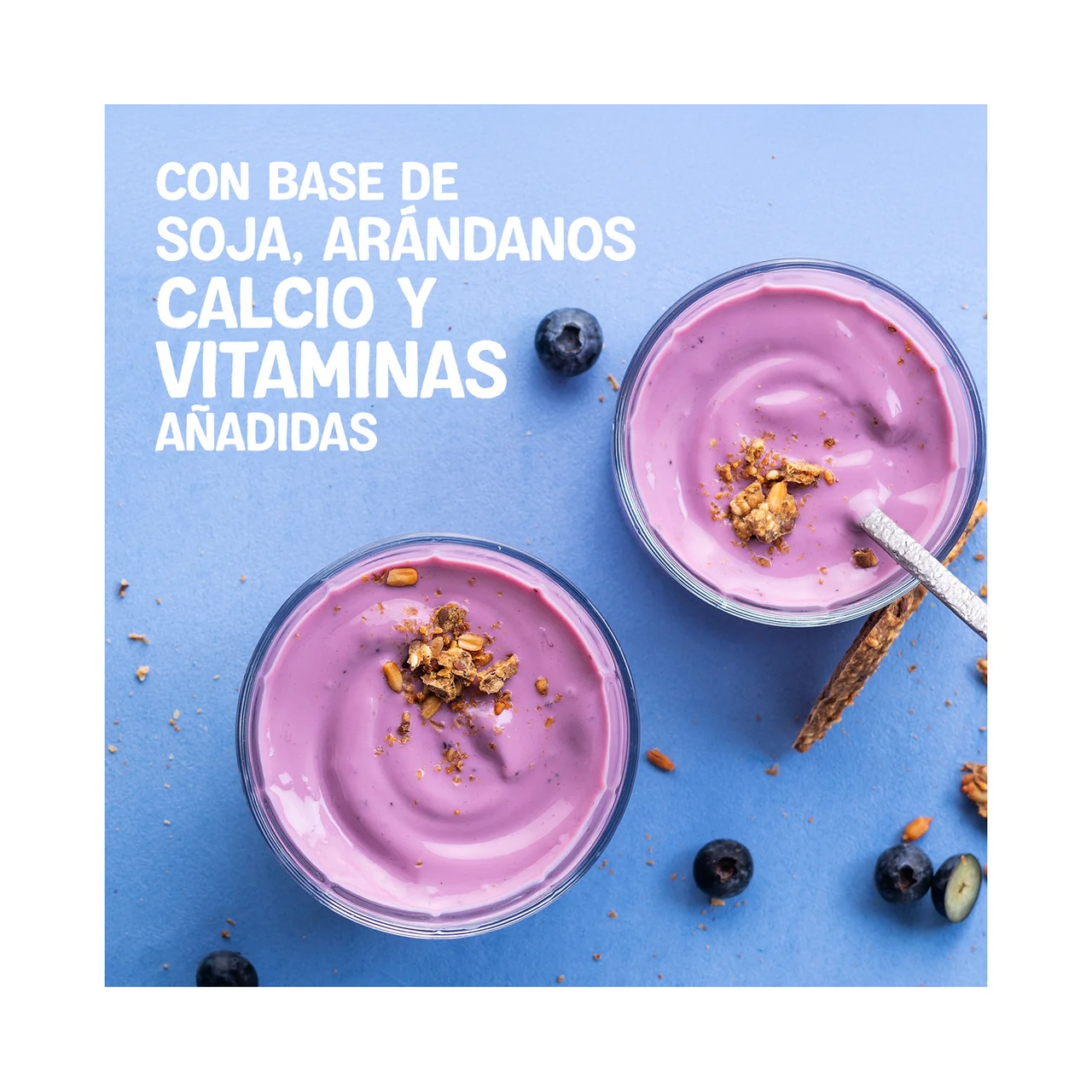 Especialidad de soja fermentada con arándanos 4 x 125 g.