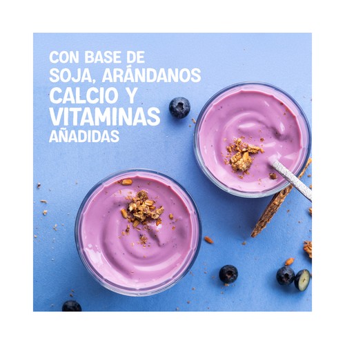 ALPRO Especialidad de soja fermentada con arándanos 4 x 125 g.