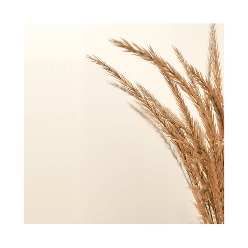 AVENA KINESIA Atopic Oleo gel de ducha sin jabón y con avena coloidal, para pieles extra secas y atópicas 750 ml.