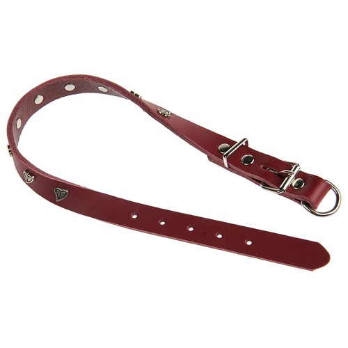 PRODUCTO ALCAMPO Collar (2 cm) de cuero y metal, de color rojo, para perros M - L (40 - 48 cm).