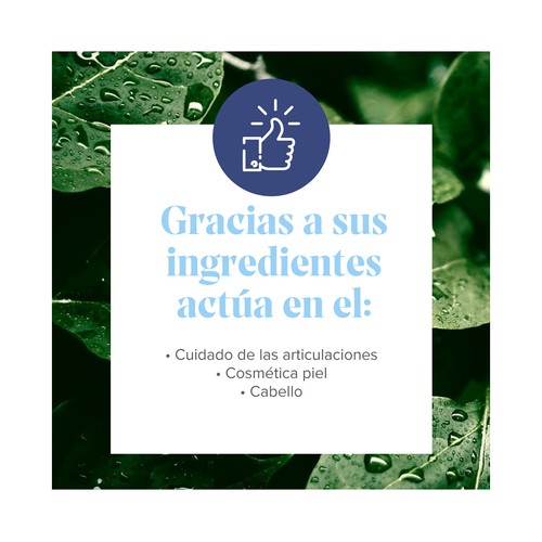 ARKOPHARMA Arkoflex Complemento alimenticio a base de colágeno sabor a limón 360 g.