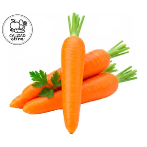 CALIDAD EXTRA Zanahorias al peso.