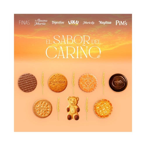 FONTANEDA Digestive Galletas cubiertas de chocolate con leche 300 g.