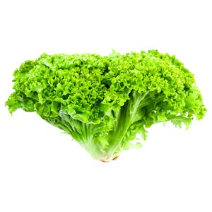 Lechuga Lollo verde 1ud 150g.