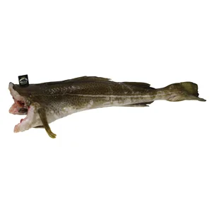 Bacalao Skrei