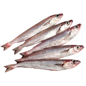 Imagen de Bacaladilla al kilo.