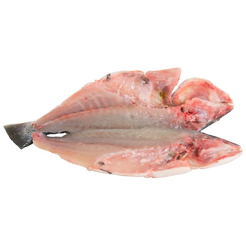 Dorada mostrador. - Entera limpia
