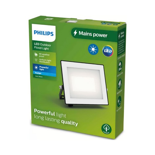 Proyector exterior 30W, luz fría IP65 LOIS PHILIPS.