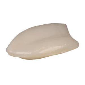 Imagen de Sepia grande mostrador - Entera limpia