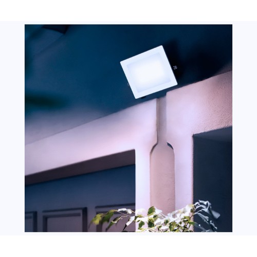 Proyector exterior 30W, luz fría IP65 LOIS PHILIPS.