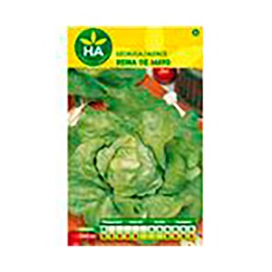 Imagen de Semillas Lechuga reina de mayo, HA HUERTA Y JARDÍN.