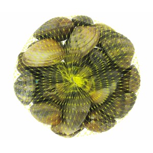 Imagen de Almeja japónica 80/110 malla 500 gr