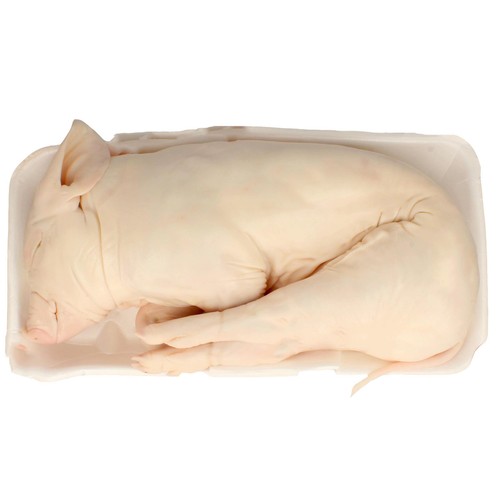 Cochinillo fresco entero, ideal para asar TIERRA DE SABOR