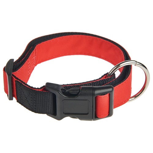 PRODUCTO ALCAMPO Collar de perro (2.5 cm.) rojo, para perros L 40 - 60 cm.