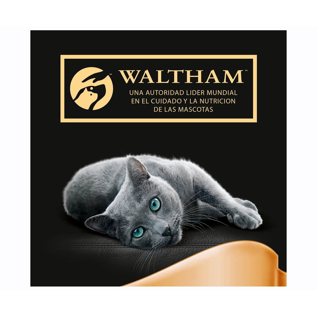 Alimento de gato tarrina húmeda de salmón 85 gr.
