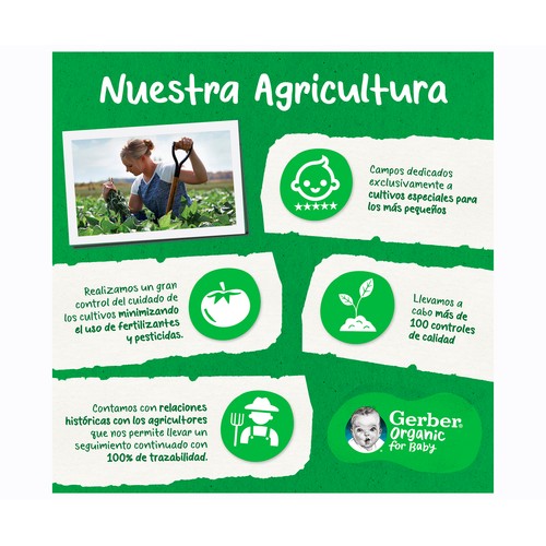 GERBER Organic grain & grow Snacks de trigo ecológico con plátano, a partir de 8 meses 35 g.