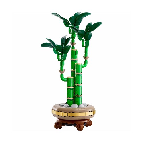 LEGO Botanical Collection Bambú de la Suerte 10344, 325 piezas, +18 años.