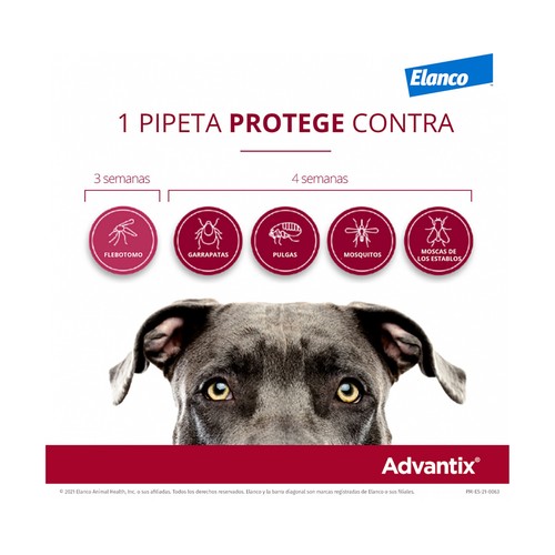 ADVANTIX Pipetas antiparasitarias para perros de 10 a 25 kg 4 x 2.5 ml.