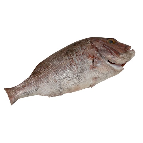 Pargo de cría mostrador - Entero limpio