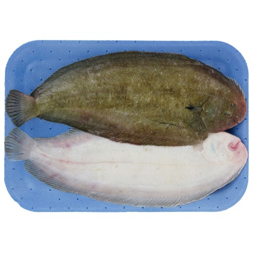 Lenguado (pieza entera)