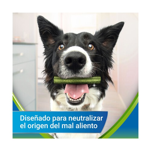 DENTALIFE Snack dental perros 7 a 12 kg PURINA DENTALIFE ACTIVFRESH 4 uds.