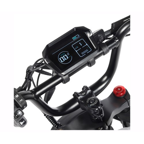 Bicicleta eléctrica E-Bike YOUIN Las Vegas, 250W, ruedas 20"", autonomía 40Km..