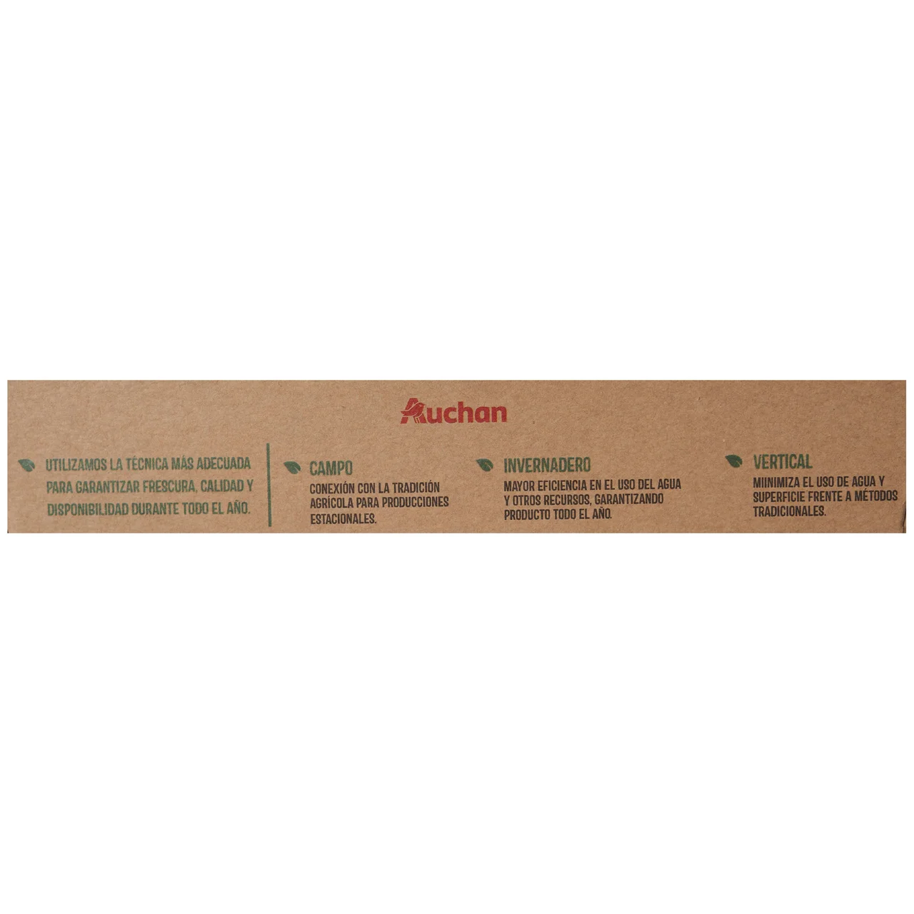 ALCAMPO CULTIVAMOS LO BUENO Estuche de albahaca 20 g.