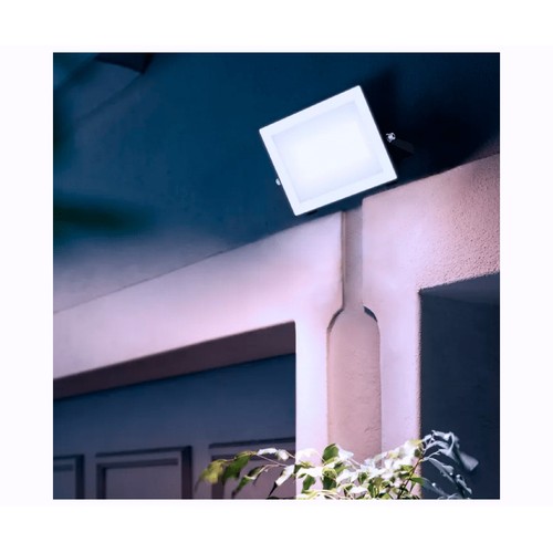 Proyector exterior 50W, luz fría IP65 LOIS PHILIPS.
