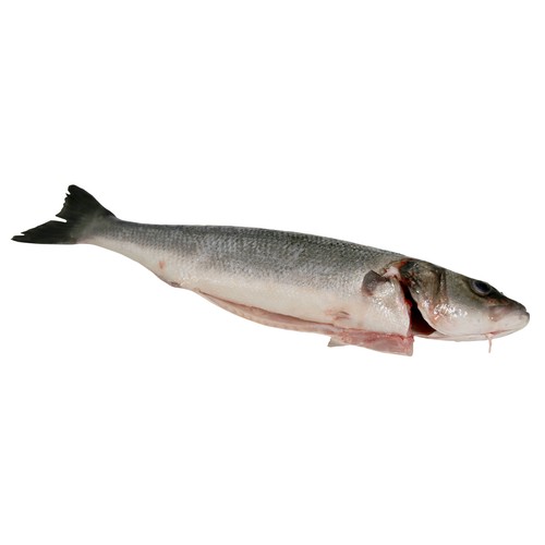 Lubina grande mostrador - Filetes