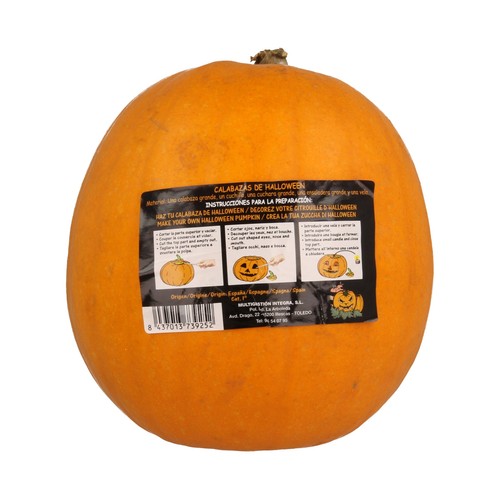 Calabaza Halloween 1 ud.