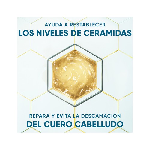 H&S Derma xpro Champú anticaspa calmante para cuero cabelludo seco y/o con picor 300 ml.