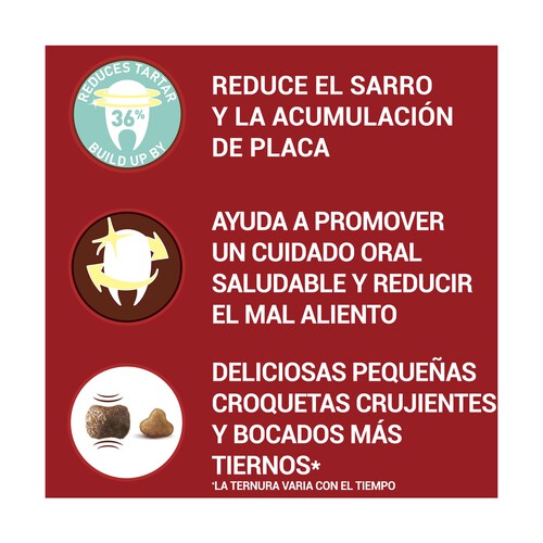 PURINA ONE Comida para perros especial dental de raza pequeña a base de pollo PURINA ONE MINI 800 g.
