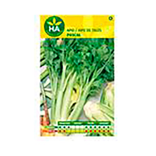 Semillas Apio lleno blanco pascal, HA HUERTA Y JARDÍN.