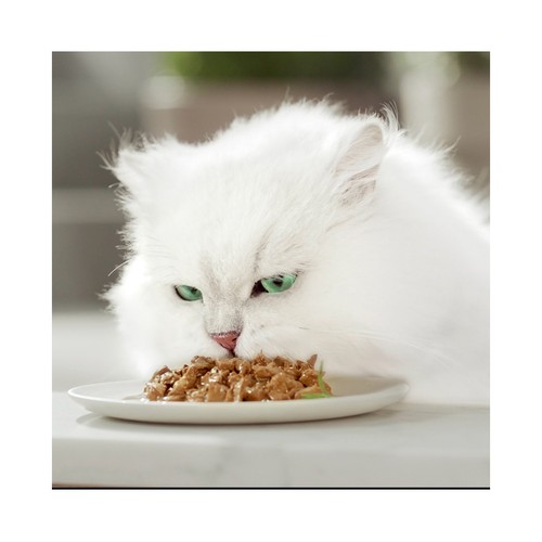 PURINA GOURMET Comida para gatos húmeda, selección pescado 6 uds. x 50 g.