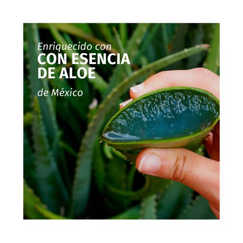 HERBAL ESSENCES Champú fortificante con aloe vera, para cabellos muy secos 350 ml.