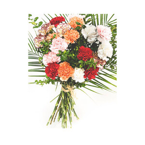 Imagen de Ramo de claveles mix, VIVEROS.