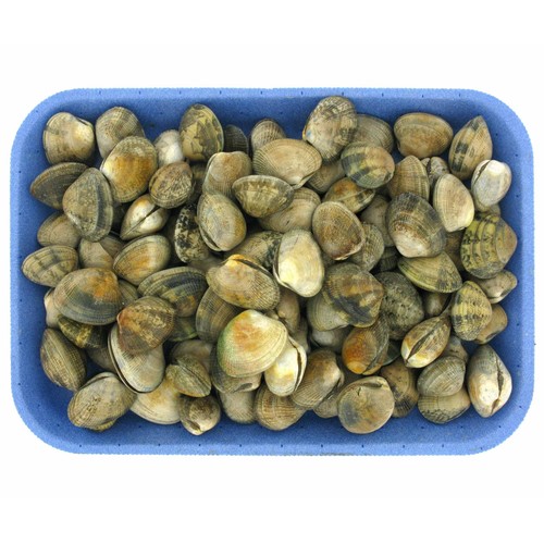 Almejas japónicas 40/60 malla 500 g.