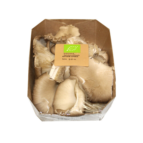 Seta Ostra ecológica ALCAMPO PRODUCCIÓN CONTROLADA ECOLÓGICO 150 g.