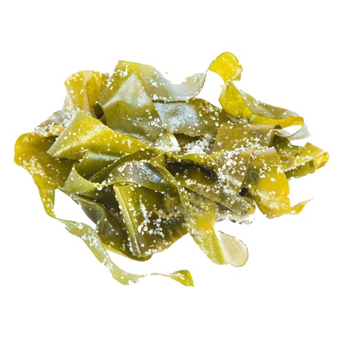 ALCAMPO CULTIVAMOS LO BUENO Alga Kombu fresca en sal  Bandeja