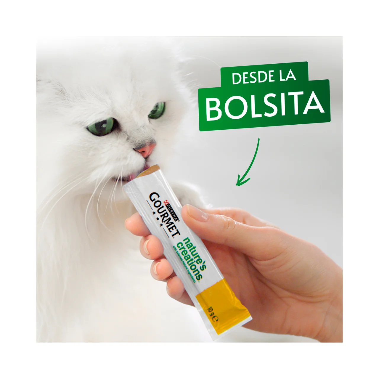 Snack gatos con pollo 5 x 10 g.