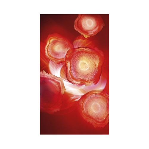 L´ORÉAL PARIS Revitalift 50 ml Crema energizante de día con ginseng rojo.