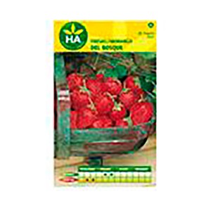 Imagen de Semillas fresones 4 estaciones, HA HUERTO Y JARDÍN.
