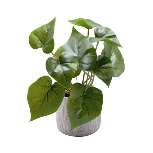 Plantas silvestres en maceta de cemento decoradas y una altura total de 31 cm.