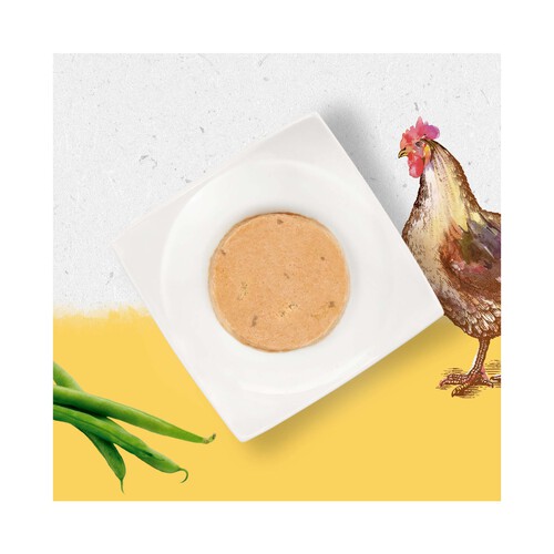 BEYOND Alimento para gatos húmedo sabor pollo BEYOND PURINA 85 g.
