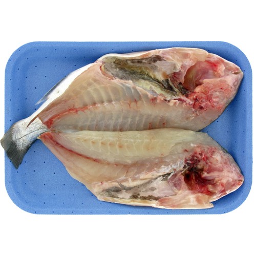 Dorada (a la espalda)