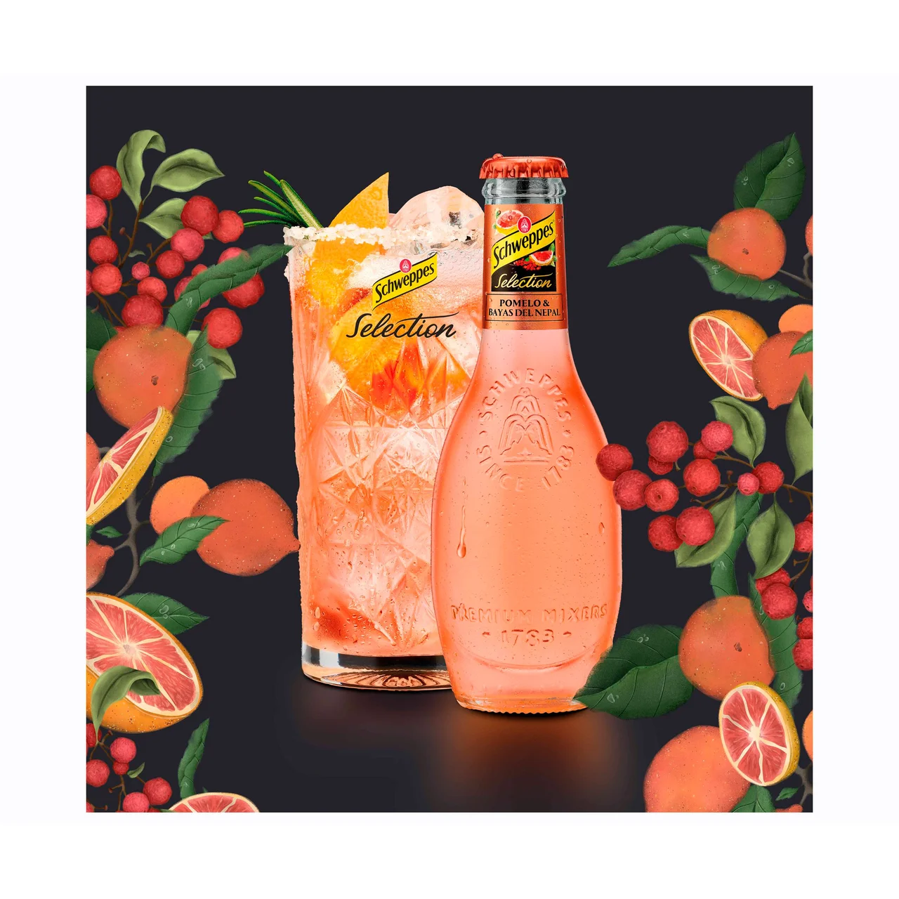 Refresco de pomelo 20 cl.