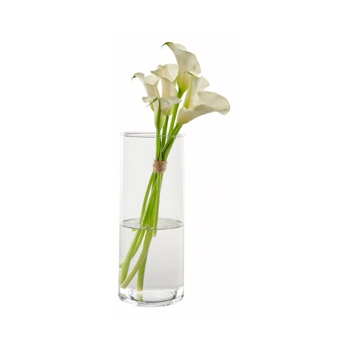 Jarrón tubular de cristal para plantas decorativas, tamaño: 30 centímetros, ACTUEL.